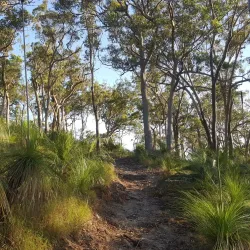 Mount Archer National Park - Rockhampton