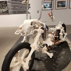 Rockhampton Art Gallery - Rockhampton