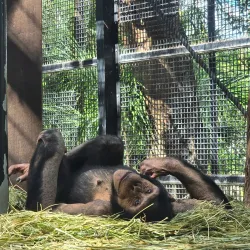 Rockhampton Botanic Gardens - Rockhampton