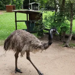 Rockhampton Botanic Gardens - Rockhampton