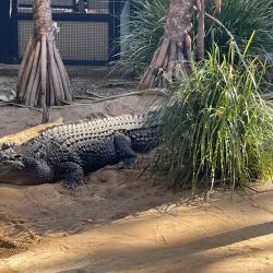 Rockhampton Botanic Gardens - Rockhampton