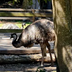 Rockhampton Zoo - Rockhampton