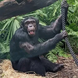 Rockhampton Zoo - Rockhampton