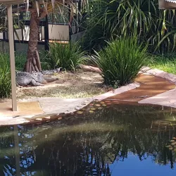 Rockhampton Zoo - Rockhampton