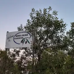 Roma Bush Gardens - Roma