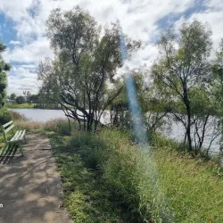 Roma Bush Gardens - Roma