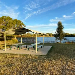 Roma Bush Gardens - Roma