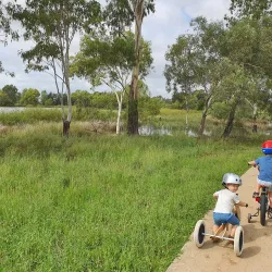 Roma Bush Gardens - Roma