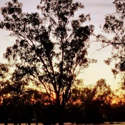 Roma Golf Club - Roma