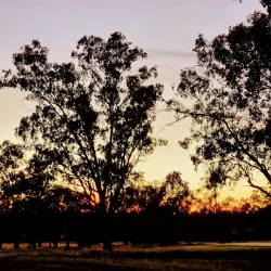 Roma Golf Club - Roma