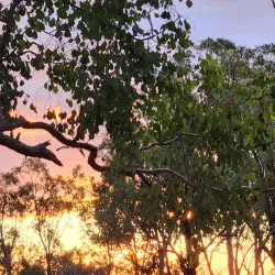 Roma Golf Club - Roma