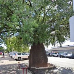 Roma Historical Precinct - Roma