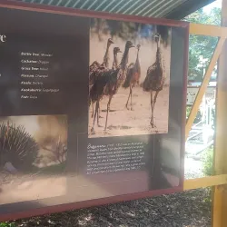 Roma Historical Precinct - Roma