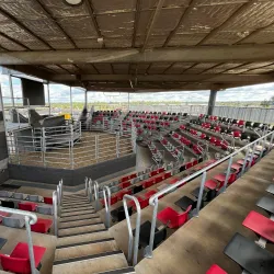 Roma Saleyards - Roma