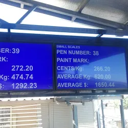 Roma Saleyards - Roma