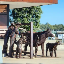 Roma Saleyards - Roma