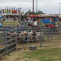 Roma Showgrounds - Roma