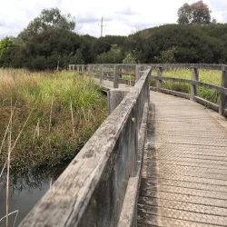Goulburn River High Country Rail Trail - Seymour
