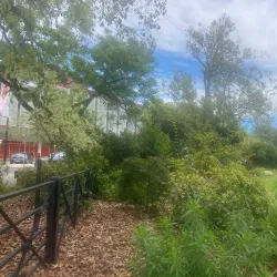 King George V Gardens - Seymour