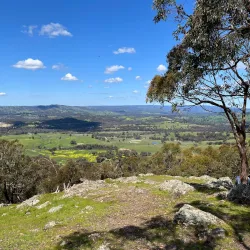 Mt. Piper Reserve - Seymour