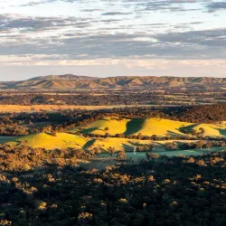 Mt. Piper Reserve - Seymour
