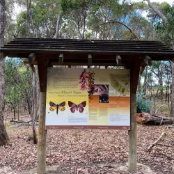 Mt. Piper Reserve - Seymour