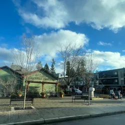 Seymour Art Gallery - Seymour