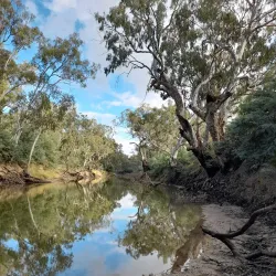 Goulburn River - Shepparton