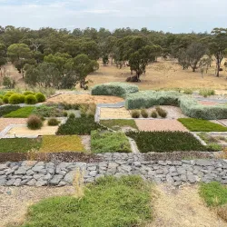 Shepparton Botanic Gardens - Shepparton