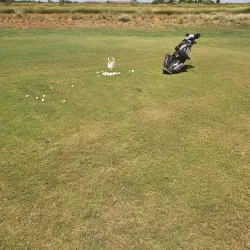 South Hedland Golf Club - South Hedland