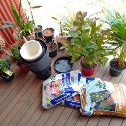 South Hedland Town Centre - South Hedland