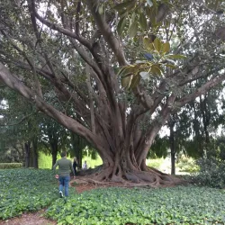 Como House and Garden - South Yarra