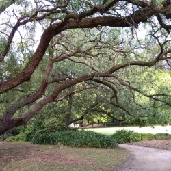 Como House and Garden - South Yarra