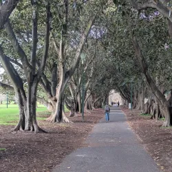 Fawkner Park - South Yarra