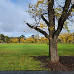 Fawkner Park - South Yarra