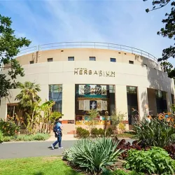 Royal Botanic Gardens Victoria - Melbourne Gardens - South Yarra