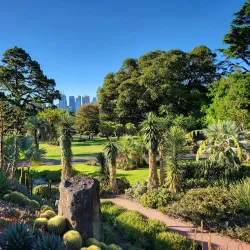 Royal Botanic Gardens Victoria - Melbourne Gardens - South Yarra