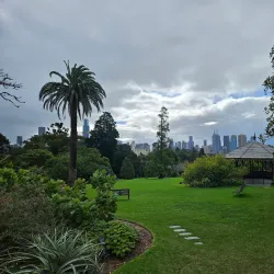 Royal Botanic Gardens Victoria - Melbourne Gardens - South Yarra