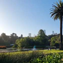 Royal Botanic Gardens Victoria - Melbourne Gardens - South Yarra