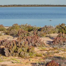 Southern Cross Golf Club - Southern Cross