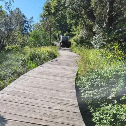 Southern Cross Heritage Trail - Southern Cross