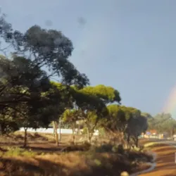 Southern Cross Town Hall - Southern Cross