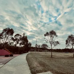 Ropes Creek Reserve - St Clair NSW