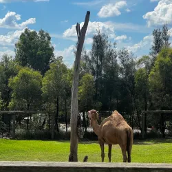 Western Sydney Parklands - St Clair NSW