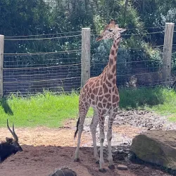 Western Sydney Parklands - St Clair NSW