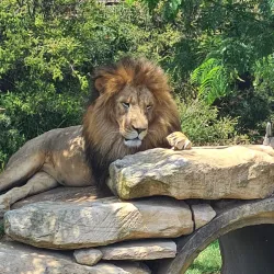 Western Sydney Parklands - St Clair NSW