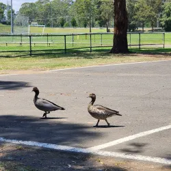 Western Sydney Parklands - St Clair NSW