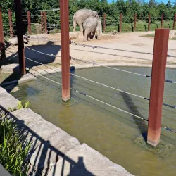 Western Sydney Parklands - St Clair NSW