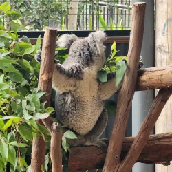 Western Sydney Parklands - St Clair NSW