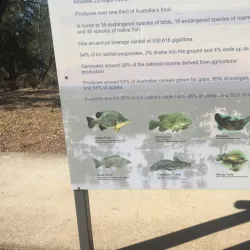 Balonne River - St George QLD